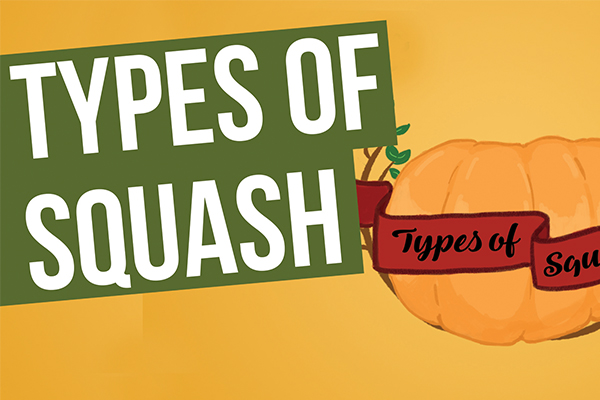 types-of-squash