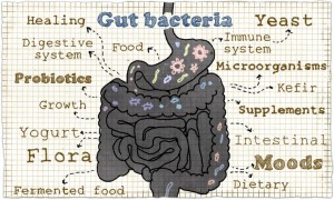 Probiotic Food